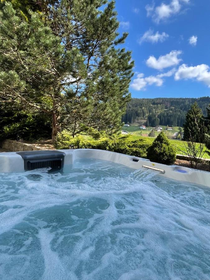 La Charbonniere, Grand Gite Haut-De-Gamme Avec Jacuzzi Et Sauna Gerardmer Exterior photo